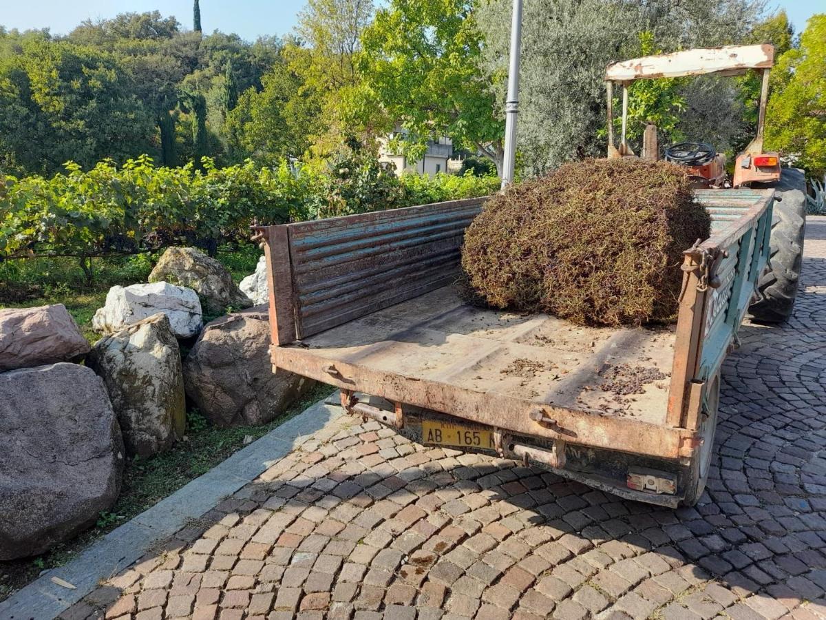 Casa El Paso Lägenhet Padenghe sul Garda Exteriör bild